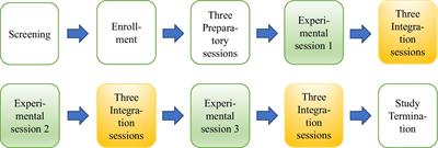 Perceived key change phenomena of MDMA-assisted psychotherapy for the treatment of severe PTSD: an interpretative phenomenological analysis of clinical integration sessions